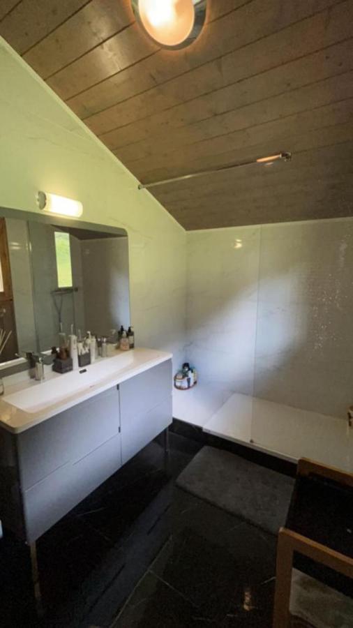 Chalet Luxueux Châtel Kültér fotó