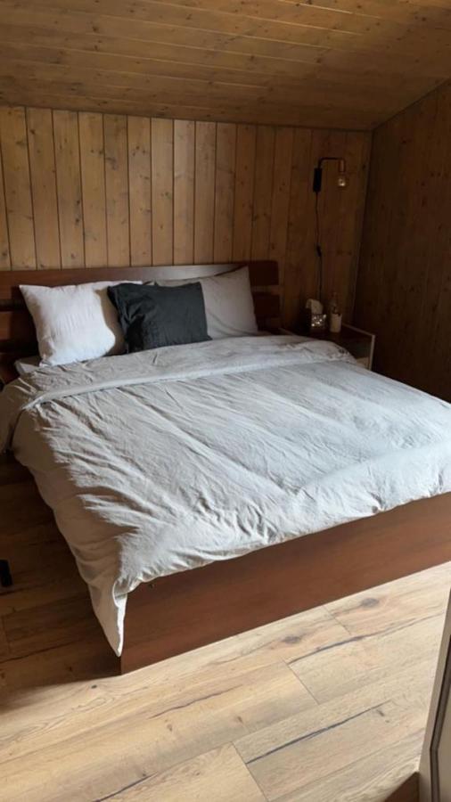 Chalet Luxueux Châtel Kültér fotó